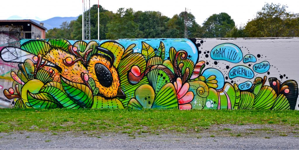Graffiti Haute-Pyrénees Arnaud Krak